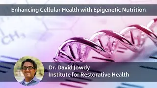 Enhancing Cellular Health with Epigenetic Nutrition