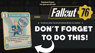 DON'T FORGET TO DO THIS! // Fallout 76