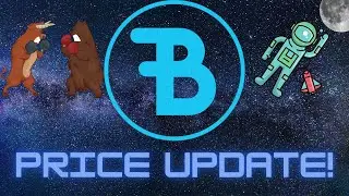 What's Happening With Bidao Bid? Price Update And Predictions!