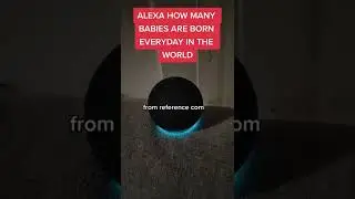 Alexa How Many Babies Are Born Everyday In The World