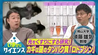 「光をくすりに」がん治療から感染症予防まで！岡山大学 須藤雄気教授【いまからサイエンス】