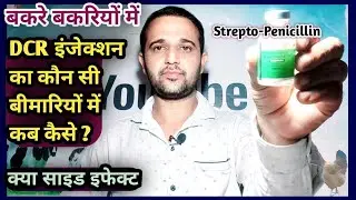 बकरियों में Strepto-Penicillin(DCR) Antibiotic इंजेक्शन का उपयोग कौन सी बीमारी में कब कैसे करें?