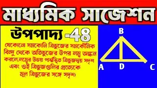 উপপাদ্য 48 class 10 | Theorem 48 class 10 | page 255 class 10 math | সদৃশতা দশমশ্রেণি । similarity