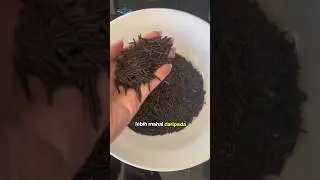 Beras Ini Jauh Lebih Sehat Dari Beras Biasa!!!