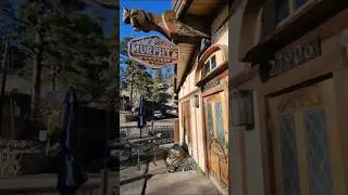 Muryphy's Mountain Grill by the Creek | Evergreen, CO #shorts #realestate