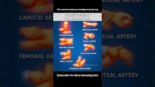#mixtape  #pulse #human #arteryhealth #artery #hand #veins #hearttouching #heart #shorts #viral #ree