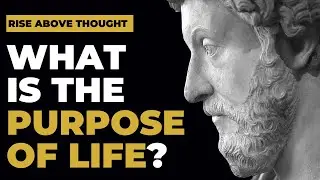 Stoicism - What is the Purpose of Life?