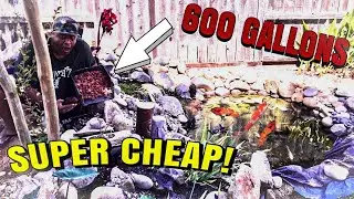 THIS SUPER CHEAP DIY POND FILTER MEDIA REALLY WORKS!