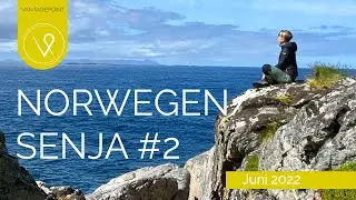 Norwegen Roadtrip 2/2022: Mit dem Camper im Juni auf Senja, Atlantik, Adler und bald Lofoten