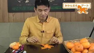 #8 裂けやすい皮のミカンをむく秘訣　secret to peel tangerines which are fragile .