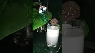 I made chocolate shake with 5 rs biscuit and my dog love it #shake #chocolate #biscuit #5rs #easy