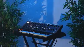 Moog Subsequent 37 Presets for House & Techno (Synthique Sounds)