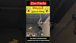 🫡ప్రపంచ రికార్డు🫡 Korean man world record #factsintelugu #amazingfacts #zoofacts #shorts
