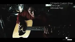【Brusheight】C. F. Martin Custom Shop CTM D 28 45Grade Top