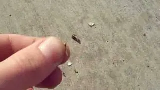 Extreme Smoke bomb