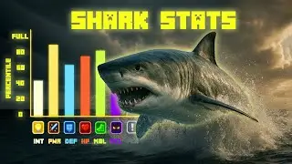 Sharks Hold This Secret That Makes The Sea Deeper