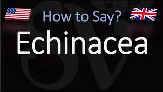 How to Pronounce Echinacea? (CORRECTLY)