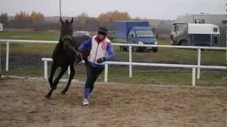 Салют - конкурс Best Condition