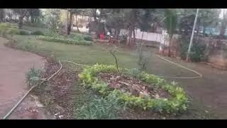 Guye End part &:6 InGulmoar  Garden  
