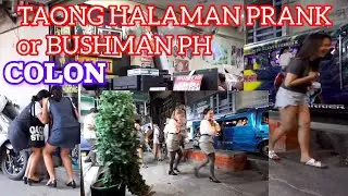 TAONG HALAMAN PRANK or BUSHMAN PH: COLON, CEBU CITY: #mosloy vlog