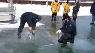 Natural ice harvest on Lake Erie.wmv