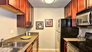 937 Catkin Court, San Jose CA 95128, USA