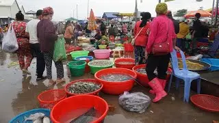 Amazing Site Distributes SeaFood & Fish @Prek Phnov Bridge - Morning Daily Fish Market Scene