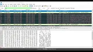 43 Use of Export object option