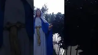 @drt