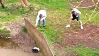 HUMAN SHIT EXPLOSION (SCAT, PORN POO, FECES)