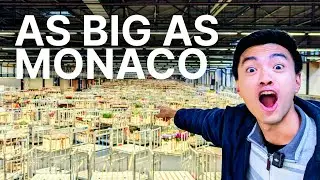 The World's Flower Trade Flows Through a Single Building