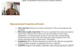 Physicochemical Properties of proteins, Classification of proteins.
