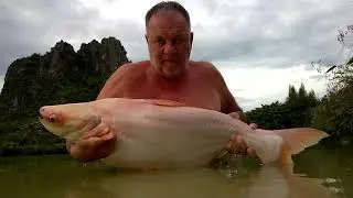 Fishing in Thailand @ Jurassic Mountain Resort and Fishing Park: Rob displays a pink striped catfish