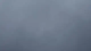 The sound of diving male peregrine falcon on snipe.