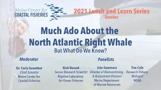 Lunch & Learn - Much Ado About the North Atlantic Right Whale: But What Do We Know?