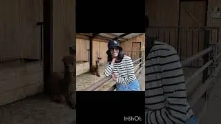 Weer n vlogje AlpacaFarm Vorstenbosch bucketlist# Just Dewi