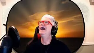 Twitch Viewer Interactions