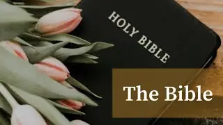 The Bible| James Methuselah Mjoli