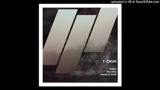 t-Zhuk - Shake It Now (original mix)