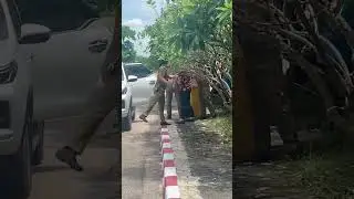 Lao immigration police apprehend human rights lawyer Lu Siwei