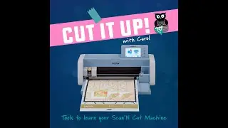 Cut It Up! with Carol: Create the Churn Dash Project with us!