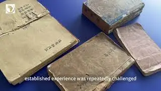TCM Pathways along the Silk Road #acupuncture #chinesemedicine  #history #southafrica