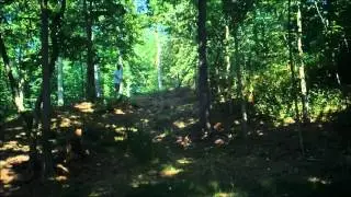Disc Golf Diaries Ep. 9