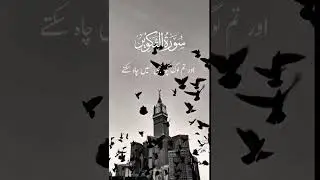 aliarslan 🥰🥰🥰🥰🥰🥰🥰🥰🥰🥰🥰🥰🥰🥰🥰🥰🥰🥰🥰