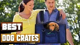 Best Dog Crate In 2026 - Top 10 Dog Crates Review