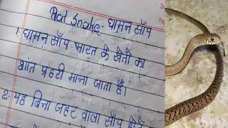 धामन सांप पर 10 लाइन | 10 Lines on Rat Snake in Hindi | Dhaman Saanp par Nibandh Hindi | #writing