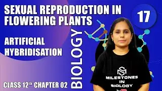 Reproduction in flowering plant- Artificial hybridization  | MIB | Std 12 | Chap-2