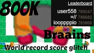 World record score glitch | 800K | Braains.io