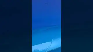 Pool cleaning