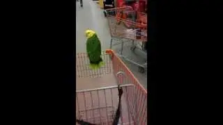 VIDEO0054
